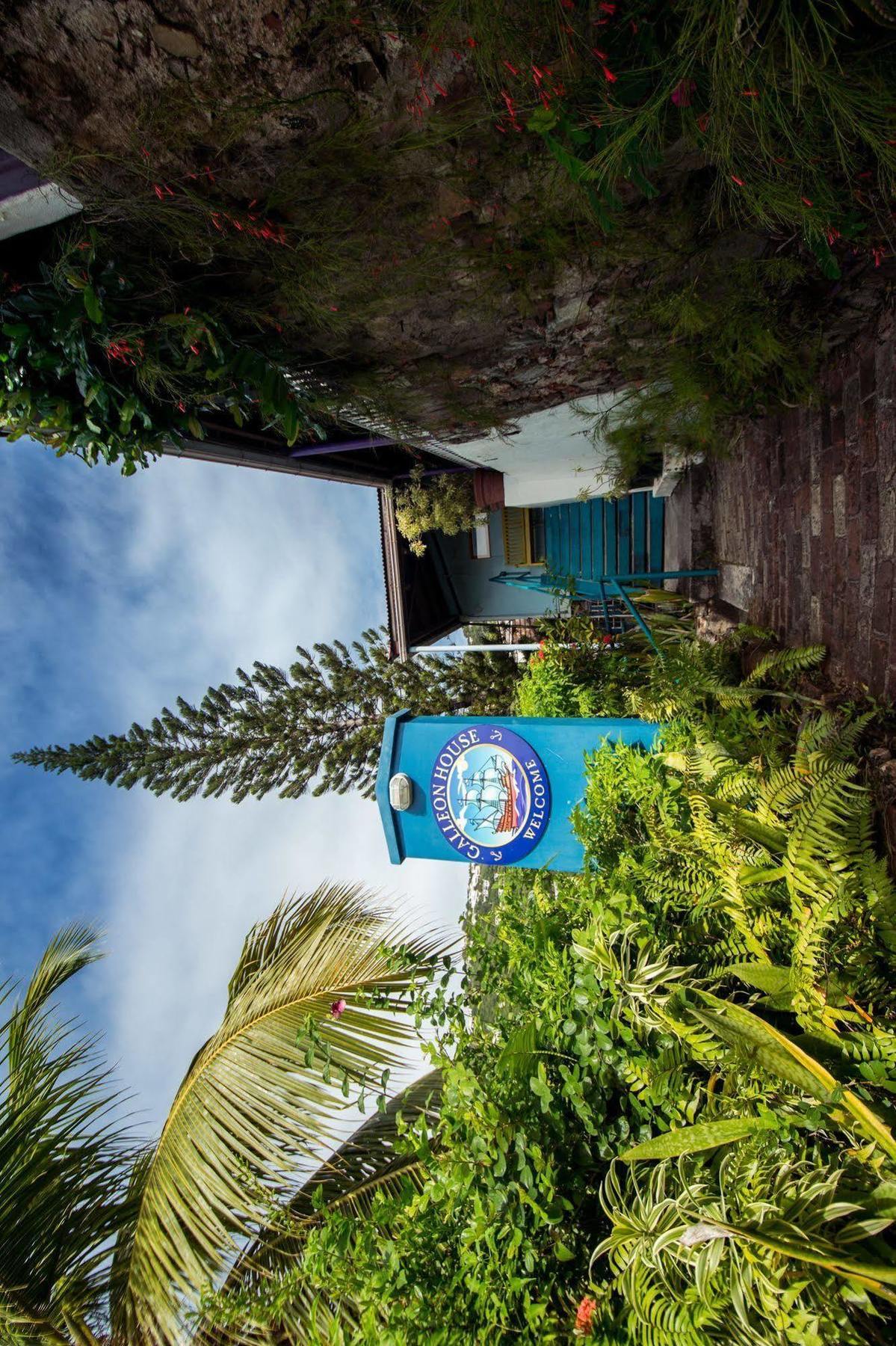 Galleon House Hotel Charlotte Amalie Dış mekan fotoğraf